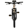 BICICLETA GW FALCON MTB CHAMPAN / RIN 20 / ALUMINIO / 8VEL - Imagen 4